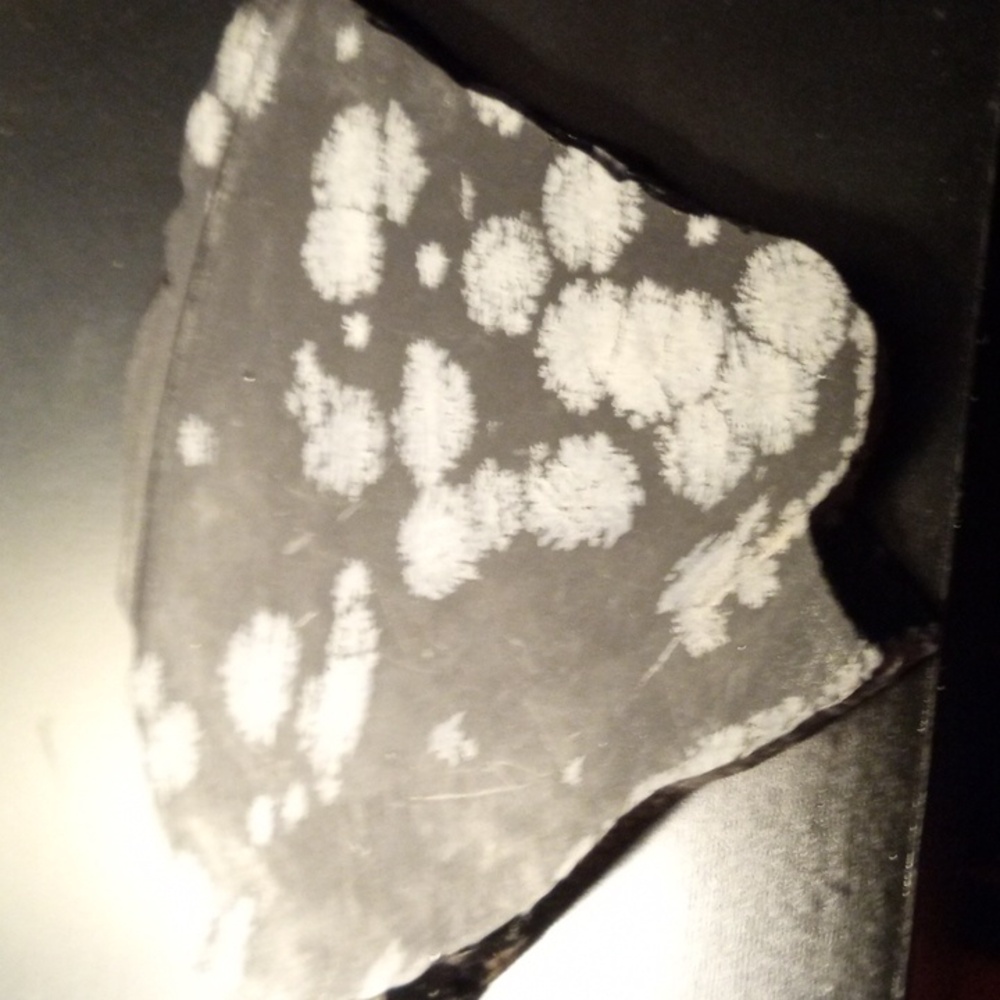 Snowflake obsidian